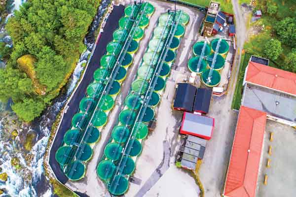 Storage tanks for onshore aquaculture and fish farms